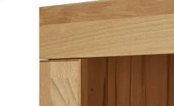 Aktenregal Oslo Classic | Kernbuche / Kernbuche (Nachbildung) 52|cm 120|cm -Deutschland Regale Verkaufs-Shop 10355291 5 202101202234