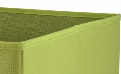 Aufbewahrungsbox | Grün 11 Aufbewahrungsbox | Grün -Deutschland Regale Verkaufs-Shop 10562555 5 202202252232