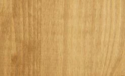 Regal Veracruz -Deutschland Regale Verkaufs-Shop 12238598 4 202002172237