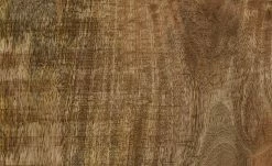 Regal Delhi -Deutschland Regale Verkaufs-Shop 12344741 9 201811271528