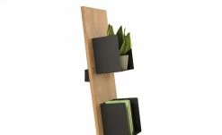 GWINNER WOHNDESIGN Standregal Style -Deutschland Regale Verkaufs-Shop 13230042 4 202006161419