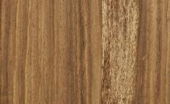 Gray & Jones Bücherregal Tierra Fuego One 40 Gray & Jones Bücherregal Tierra Fuego One -Deutschland Regale Verkaufs-Shop 13231540 19 202204011239