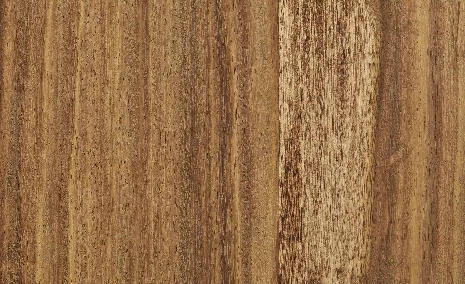 Gray & Jones Bücherregal Tierra Fuego One 20 Gray & Jones Bücherregal Tierra Fuego One – Bild 18