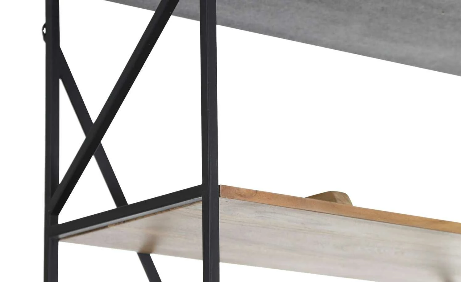 Regal Flynn | 90|cm 4 Regal Flynn | 90|cm – Bild 2