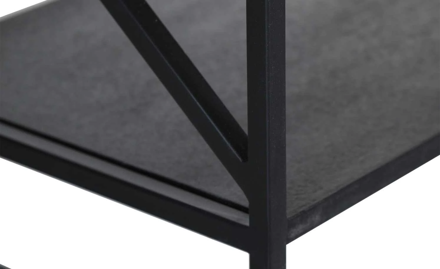 Regal Flynn | 90|cm 5 Regal Flynn | 90|cm – Bild 3