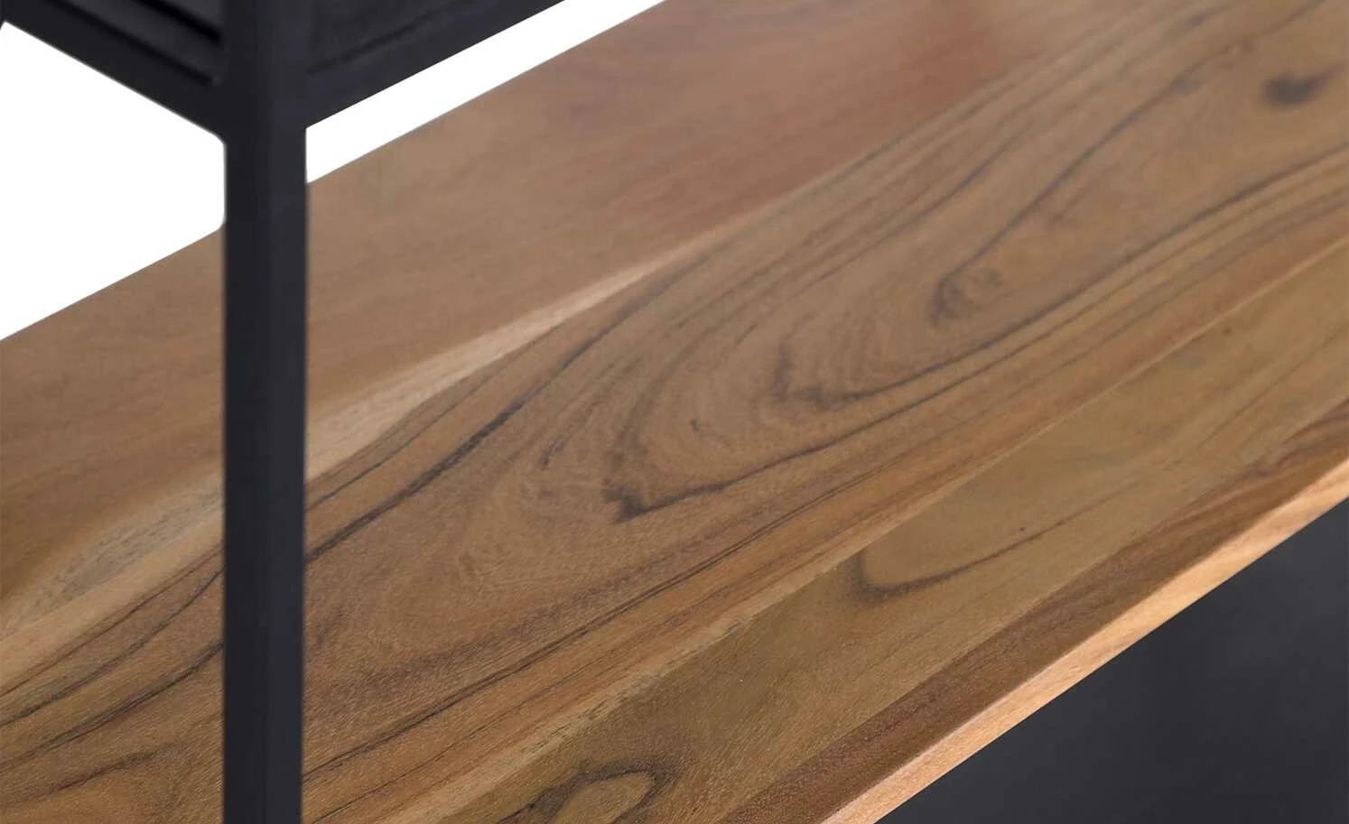 Regal Flynn | 90|cm 6 Regal Flynn | 90|cm – Bild 4