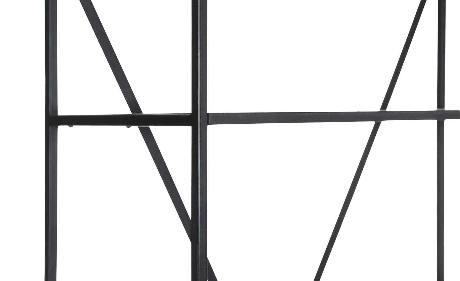 Regal Flynn | 90|cm 7 Regal Flynn | 90|cm – Bild 5