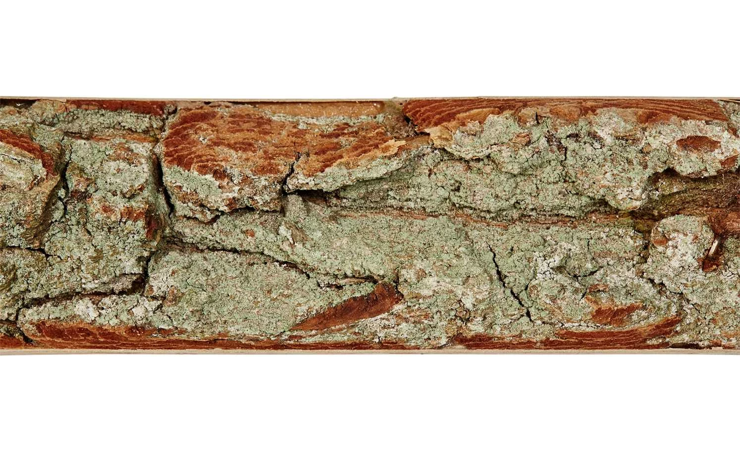 Wandboard Classic Eiche | 60|cm 6 Wandboard Classic Eiche | 60|cm – Bild 4